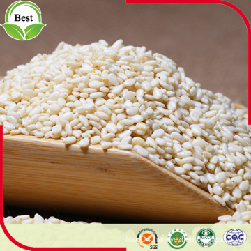 Raw Organic Hulled White Sesame Seeds